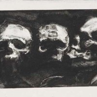Hyrtl Skull Collection
monoprint    3"x7"